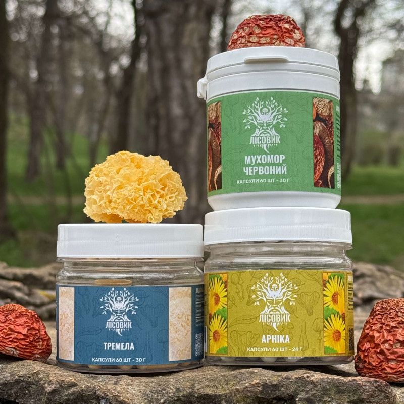 Курс Joint Flex: Сила та гнучкість суглобів (1 місяць), "Лісовик", 180 капсул