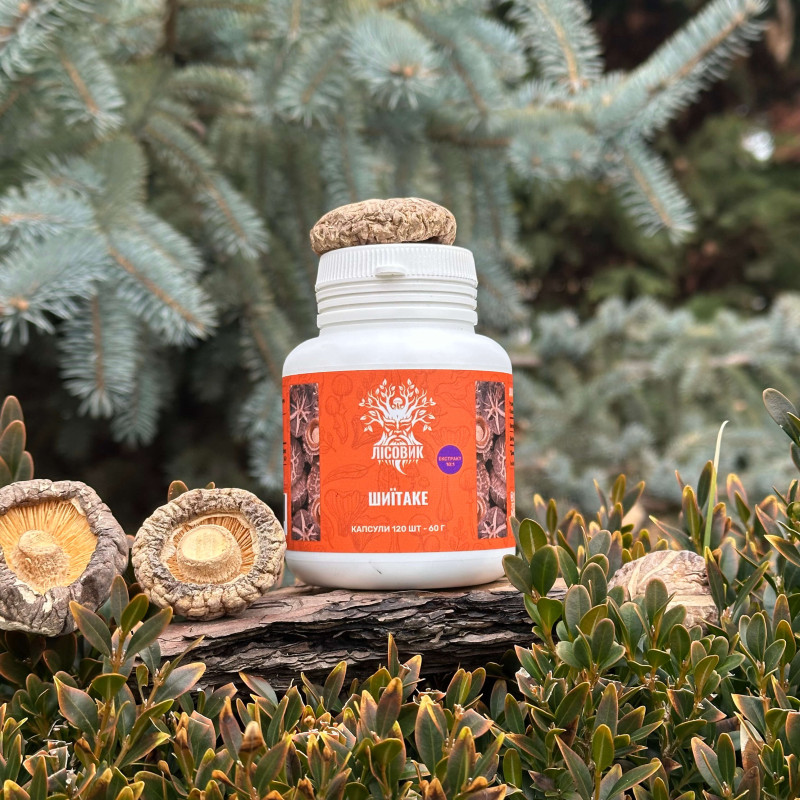 Шиїтаке, екстракт 10:1, "Лісовик", 120 капсул