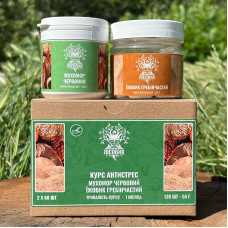 Курс Антистрес: Мухомор та Їжовик (1 місяць), "Лісовик", 120 капсул