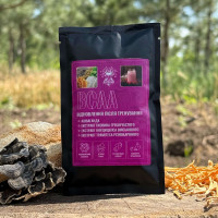 BCAA коктейль для восстановления после тренировки, "Лесовик", 40 грамм