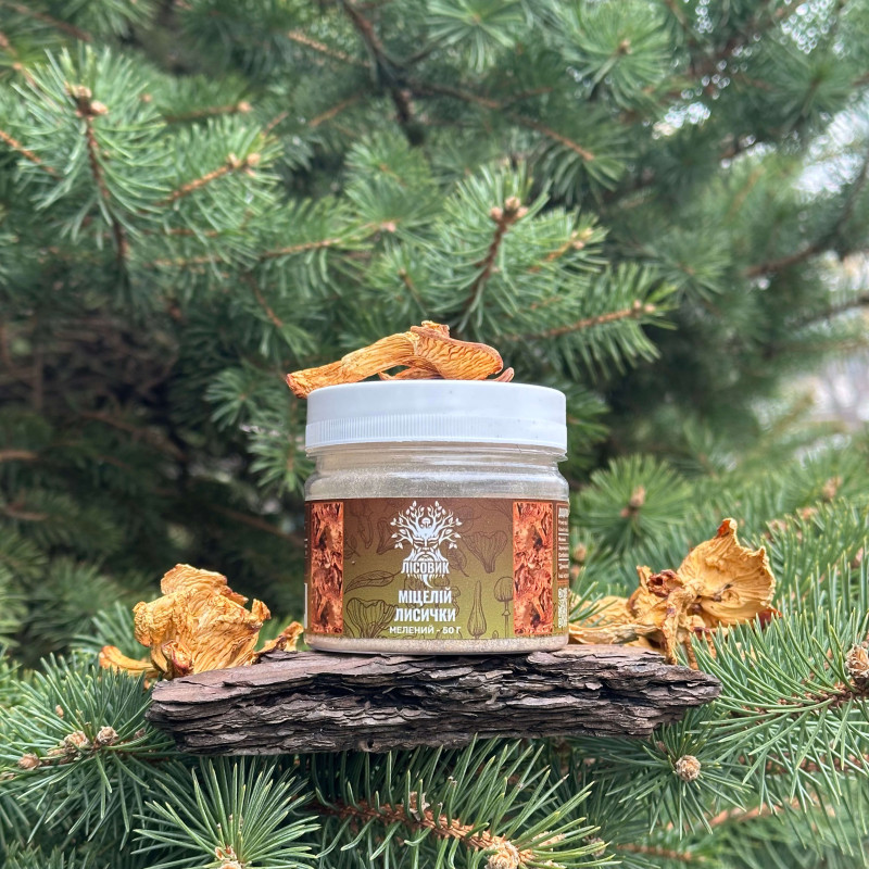 Міцелій Лисички справжньої, мелений, "Лісовик", 50 грам