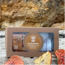 Набір для новачка Lite з мухомором червоним, "Лісовик"