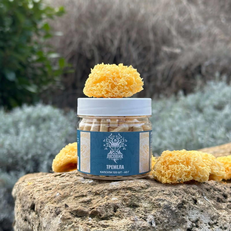 Тремела, "Лісовик", 120 капсул 0.5 г