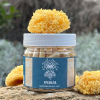 Тремела, "Лісовик", 120 капсул 0.5 г