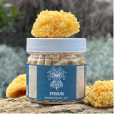 Тремела, "Лісовик", 120 капсул 0.5 г