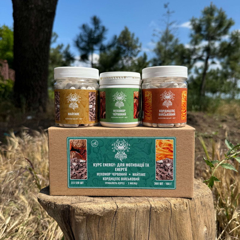 Курс ENERGY: Для мотивации и энергии (2 месяца), "Лесовик", 360 капсул
