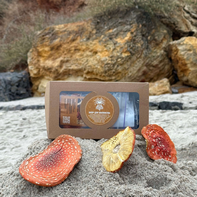 Набір для новачка Lite з мухомором червоним, "Лісовик"