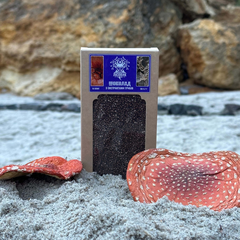 Шоколад с экстрактами грибов рейши и траметеса, "Лесовик", 85 грам