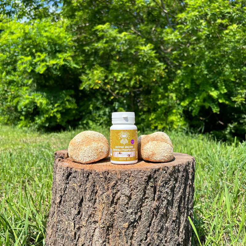 Екстракт міцелію Їжовика гребінчастого, мелений, "Лісовик", 50 грам