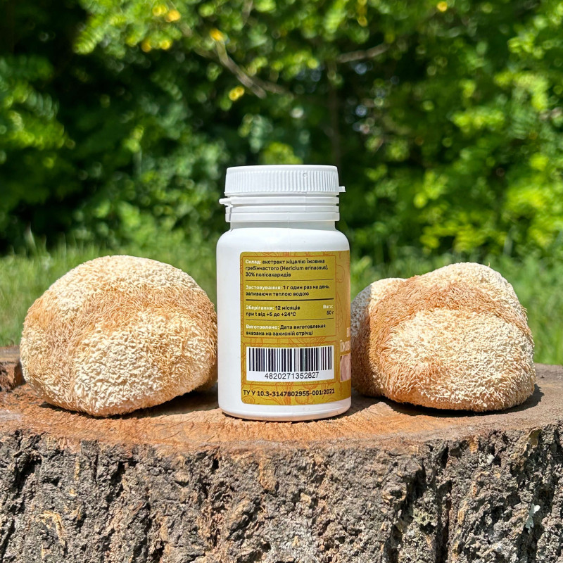 Екстракт міцелію Їжовика гребінчастого, мелений, "Лісовик", 50 грам