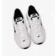 Кросівки чоловічі Nike Initiator (394055-100)