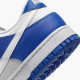 Кросівки чоловічі Nike Dunk Low Sc (FN3416-001)
