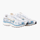 Кросівки чоловічі Nike P-6000 (HJ7246-100)