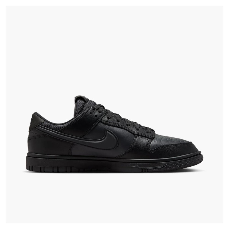 Кросівки чоловічі Nike Dunk Low Gore-Tex (HQ2053-001)