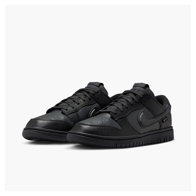 Кросівки чоловічі Nike Dunk Low Gore-Tex (HQ2053-001)