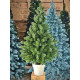 Ялинка лита в горщику, зелена POTTED TREE GREEN