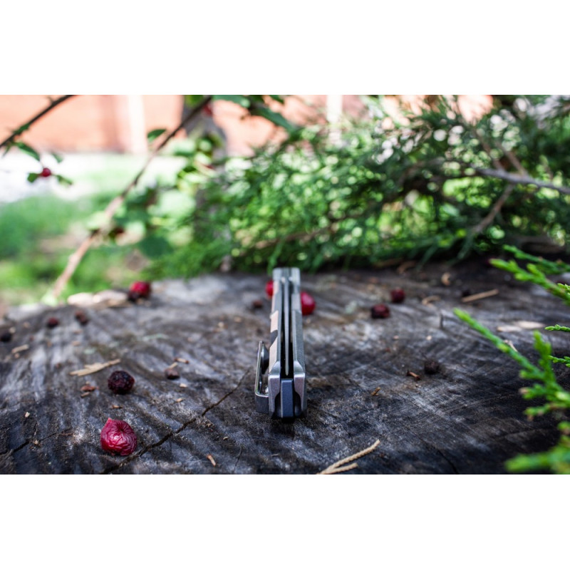 Ніж складаний Ruike P108-SF