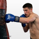 Боксерские перчатки Everlast 8 унций (8 oz) синие