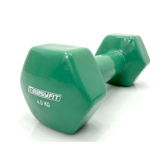 Гантель для фитнеса EasyFit с виниловым покрытием, Вес 4 кг, Сталь, Зеленый