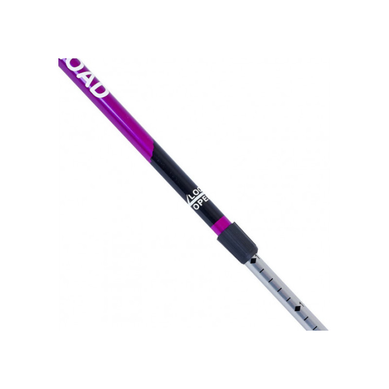 Палиця для скандинавської ходьби EasyFit SKY ROAD фіолетова