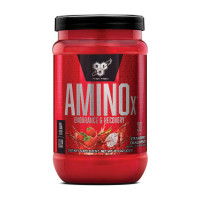 BCAA, Amino X, BSN, 435 г (Голубая малина)