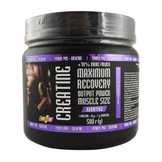 Creatine Maximum Recovery (500 g)