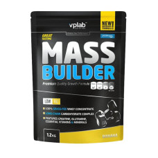 Mass Builder (1,2 kg)