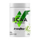 BCAA Recovery (500 g)