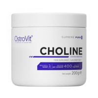 Вітаміни та мінерали, Choline, OstroVit, 200 г (Без смаку)