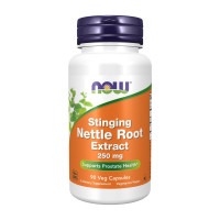 Добавка для здоров'я, Stinging Nettle Root Extract 250 mg, NOW, 90 капсул