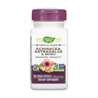 Добавка для здоровья, Echinacea Astragalus & Reishi, Nature's Way, 100 капсул