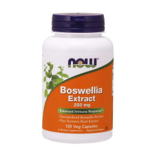 Boswellia Extract 250 mg (120 veg caps)