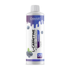 L-Carnitine + Green Tea + Chrome Liquid (500 ml)