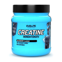 Креатин, Creatine Monohydrate, Evolite Nutrition, 500 г (Черника)