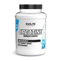 Креатин, Creatine Monohydrate, Evolite Nutrition, 1 кг (Без вкуса)