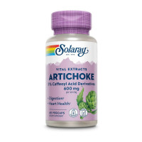 Добавка для здоров'я, Artichoke 600 mg, Solaray, 60 капсул