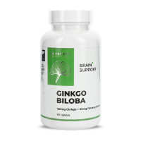 Добавка для здоров'я, Ginkgo Biloba 120 mg, Progress Nutrition, 90 таблеток