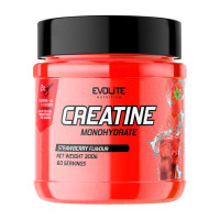 Креатин, Creatine Monohydrate, Evolite Nutrition, 300 г (Черника)