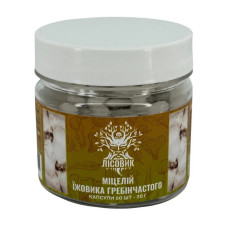 Міцелій Їжовика Гребінчастого (60 caps)
