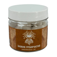 Їжовик Гребінчастий (60 caps)