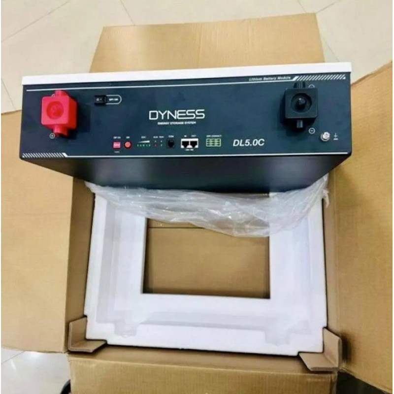 Батарея Dyness DL5.0C (LFP LiFePO4 5.12kWh)