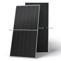 Солнечная панель Trina Solar TSM-NEG19RC.20 630Wp (Ultra) Bifacial