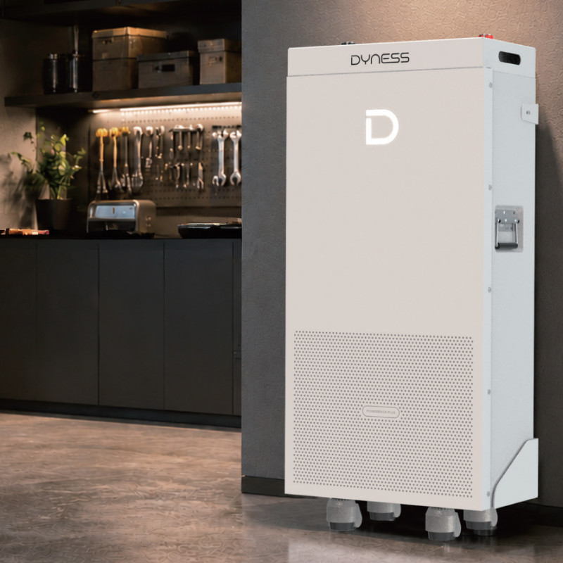 Батарея Dyness Powerbrick Max LiFePO4 16,07 kwh / 51,2 В LV